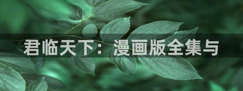 漫画岛app官方下载